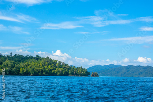 Tropical Island with Dense Jungle