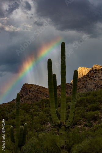 An incredibly colorful and magical rainbow during summer monsoon storms over Pusch Ridge in the Catalina Mountains. Oro Valley, Pima County, Arizona, USA. photo