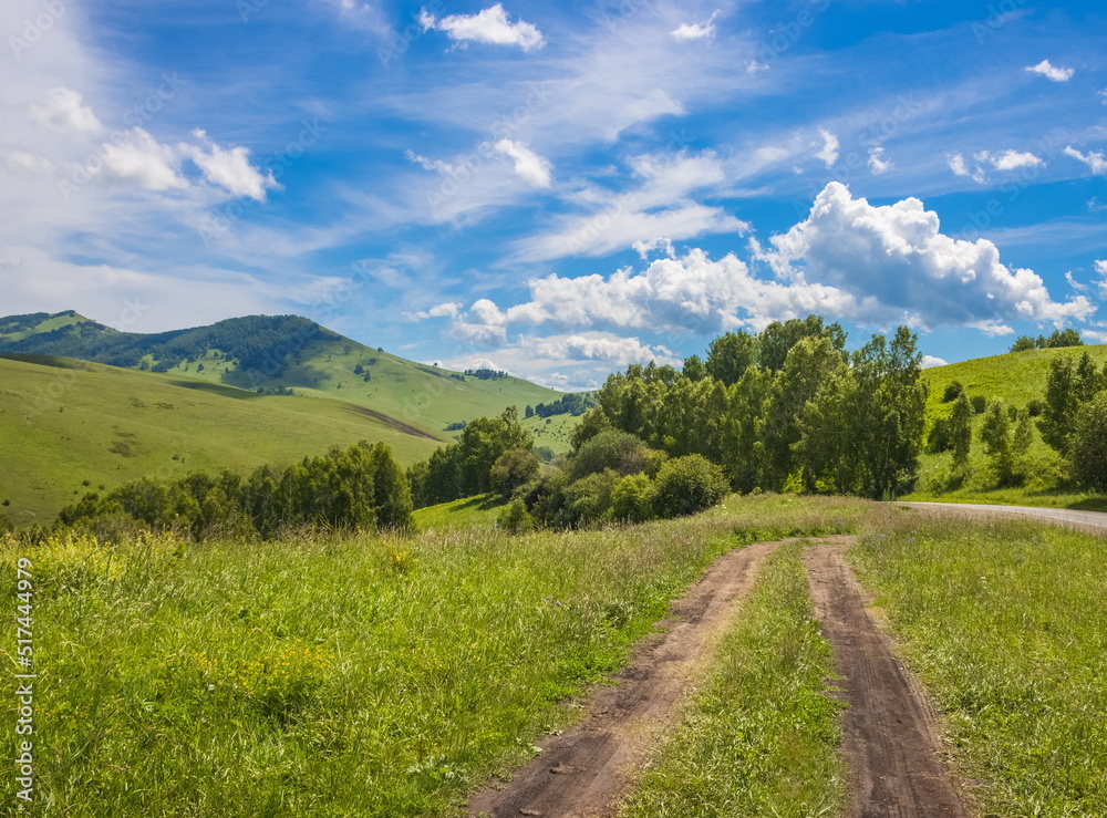 Summer foothill landscape. Green meadow and blue sky with clouds. Altai.
