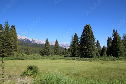 Moose Meadows, Banff National Park, Alberta