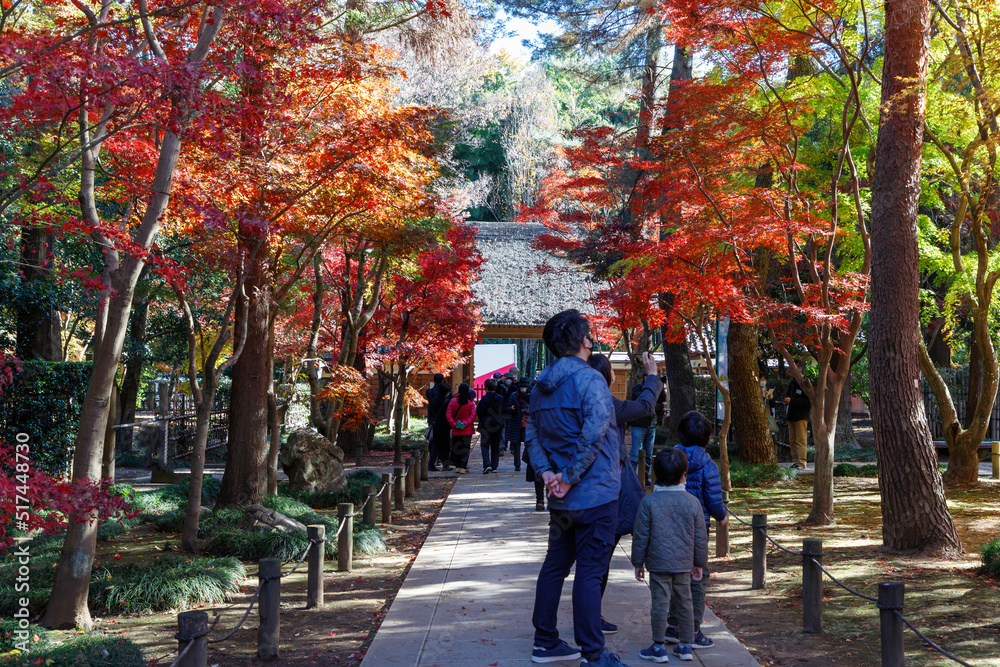 紅葉で赤く染まる平林寺の参道