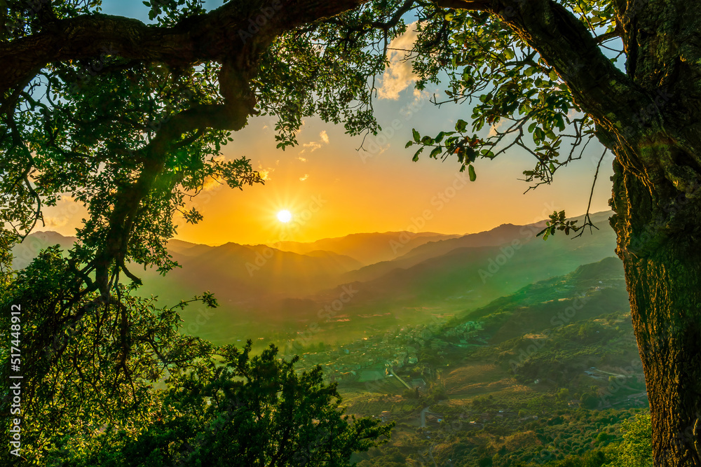 Fototapeta premium wonderful spring sunset in mountains with amazing view from highland among greeen tree branches to a valley with town, mountains and beautiful sunset on background