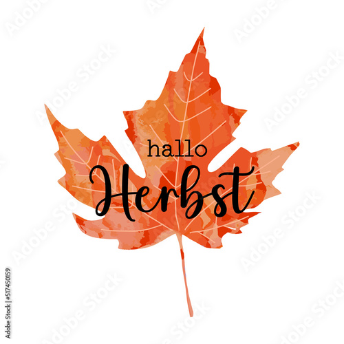 Beautiful calligraphy lettering text - Hallo Herbst - German translation - Hello Autumn Fall. Bright orange red watercolor artistic maple leaf vector illustration isolated on white background