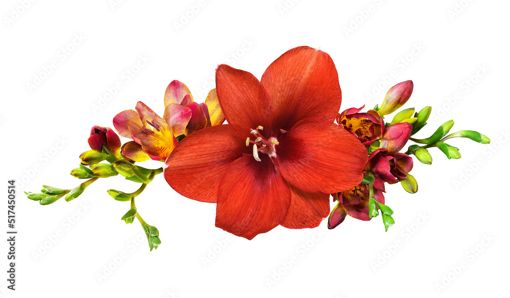 Αυτοκόλλητο Floral arrangement with red amaryllis and freesia flowers isolated