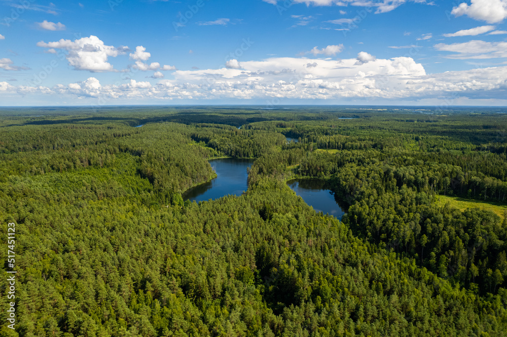 Aerial summer view of scary face in the forest and lakes, Lithuania Aerial summer view of scary face in the forest and lakes, Lithuania