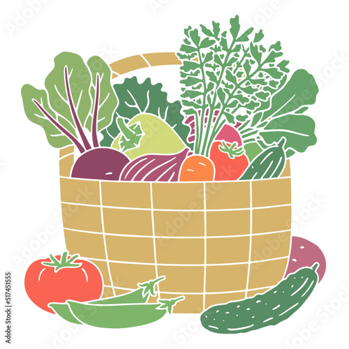 Vegetables in a basket on a white background