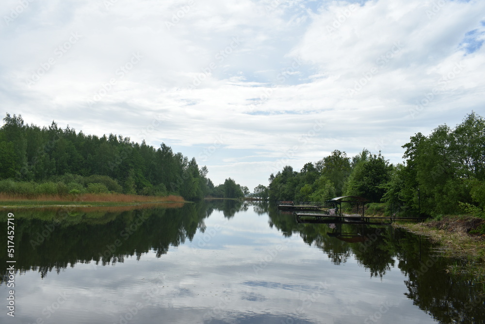 lake and forest