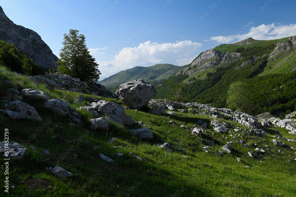 Gebirgszug am Bukumirsko-See (Montenegro) // Mountain range next to the  Bukumirsko Lake (Montenegro)
