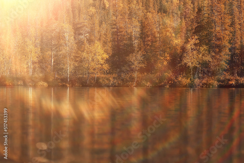 scenic, autumn landscape trees and forest river and lake, nature view fall background