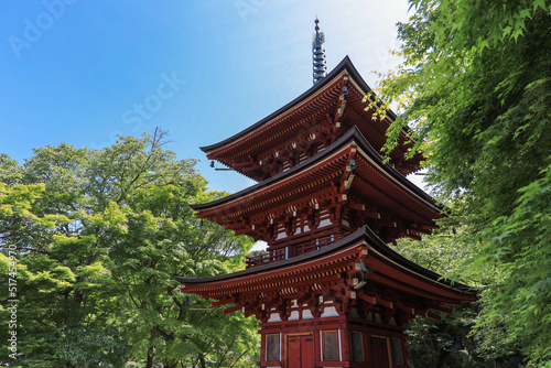 奈良 岡寺の三重宝塔