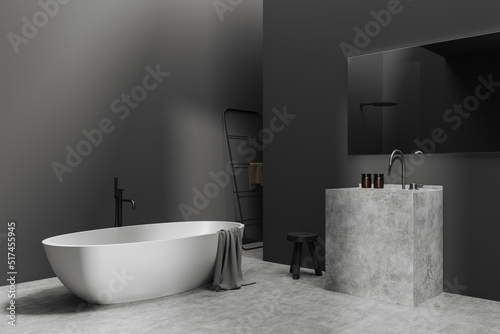 Grey bathroom interior with bathtub and washbasin. Mockup empty wall