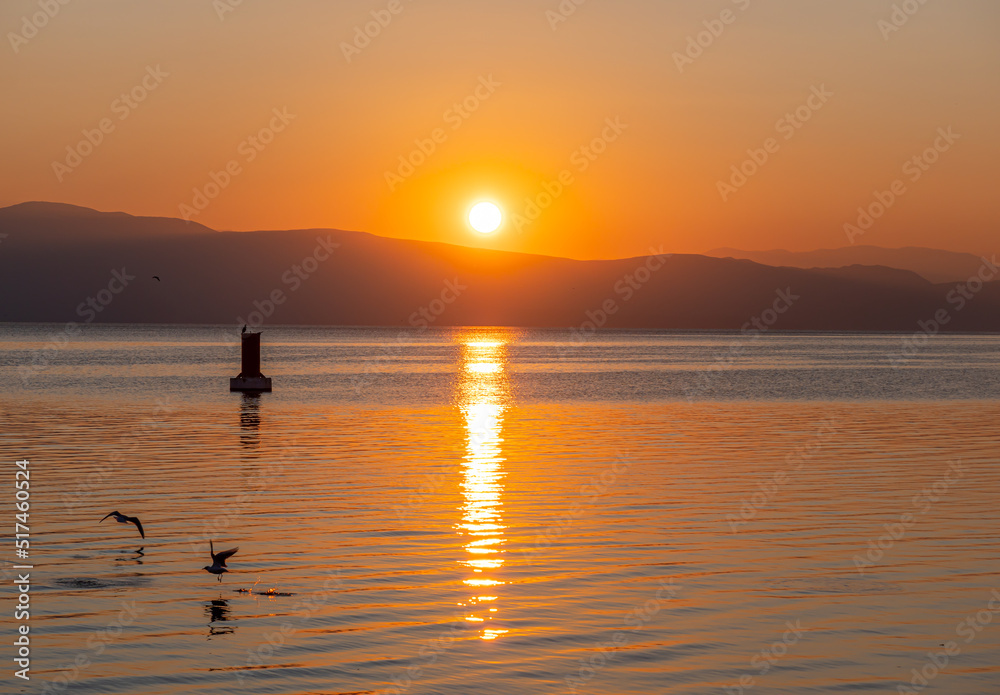 Silhouette Seagulls Swimming On Lake
