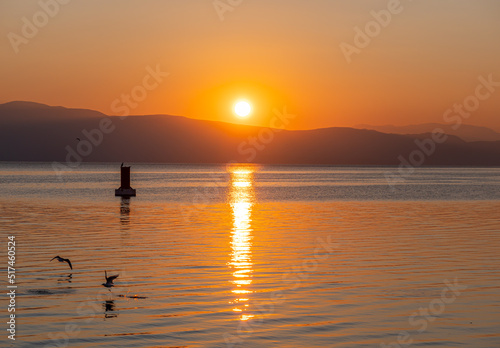 Silhouette Seagulls Swimming On Lake