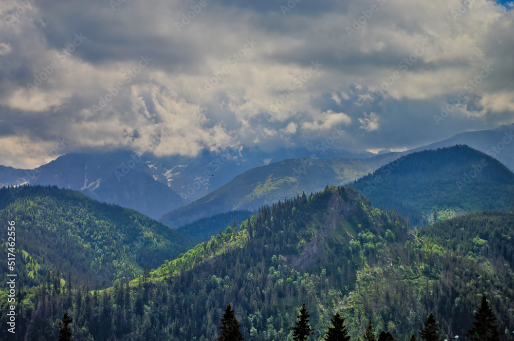 Szczyty górskie w chmurach, bory, lasy i szlaki.