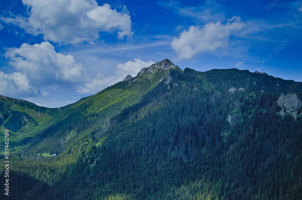 Szczyt górski, w kolorach zieleni oraz nieba, z porośniętym stokiem i lasem.