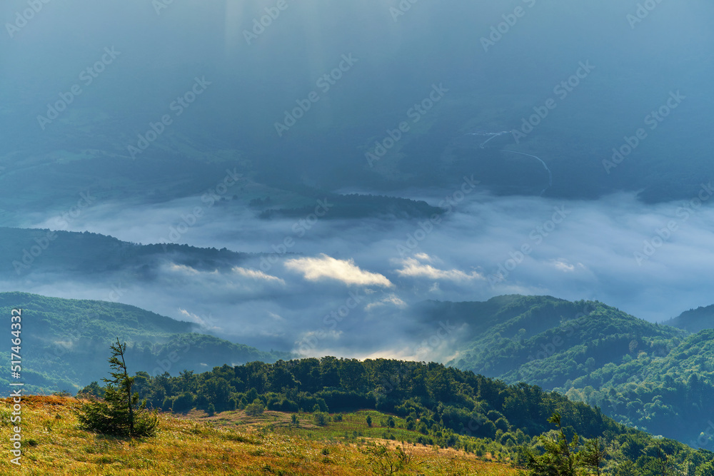 Morning mountain landscape. White fog in the valley. The beauty of the Carpathian mountains