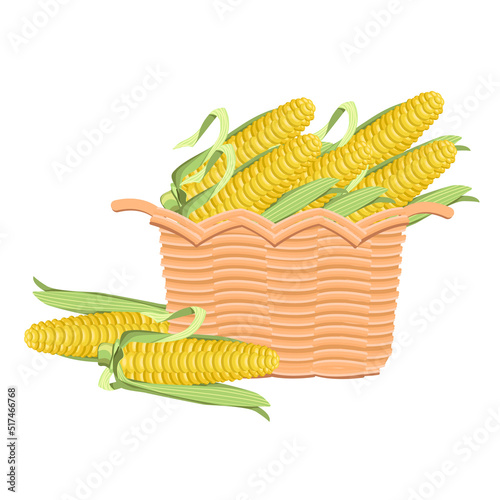 Ripe corn cobs in a wicker basket, isolated on a white background.Vector composition.