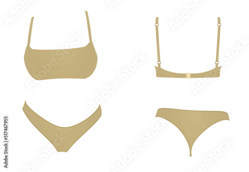 Brown  women underwear. vector illustration