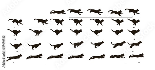 Image sequence of Cat running for Animation.