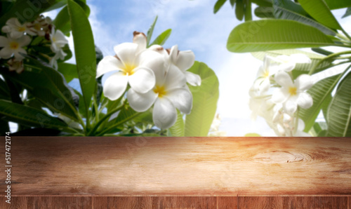 Wooden terrace over the Frangipani tree - Can Be Used For Display