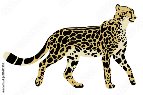 vector king cheetah illustration on white background	