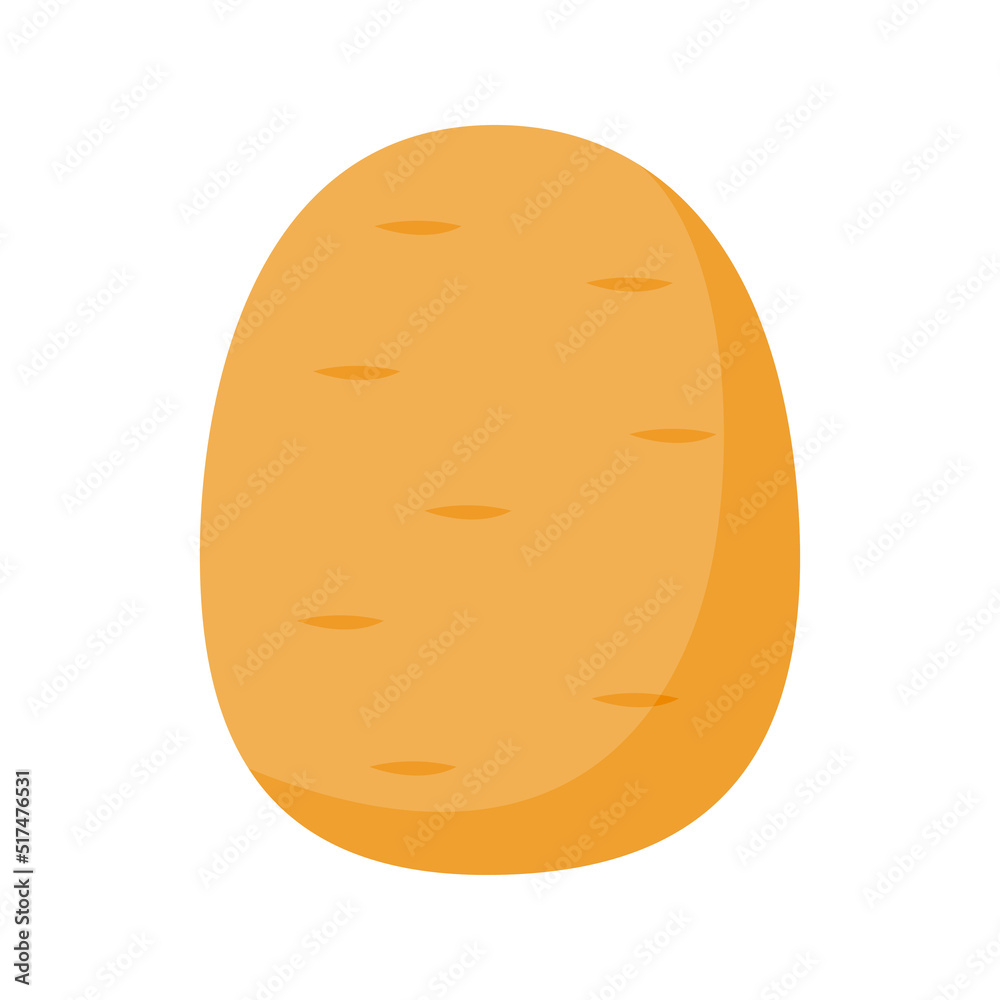 Potato isolated on white background Potato isolated on white background