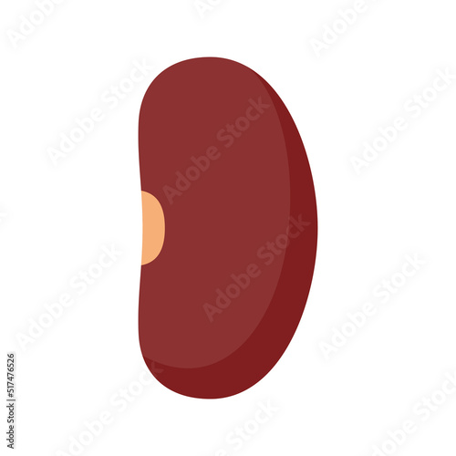 Kidney Bean isolated on white background