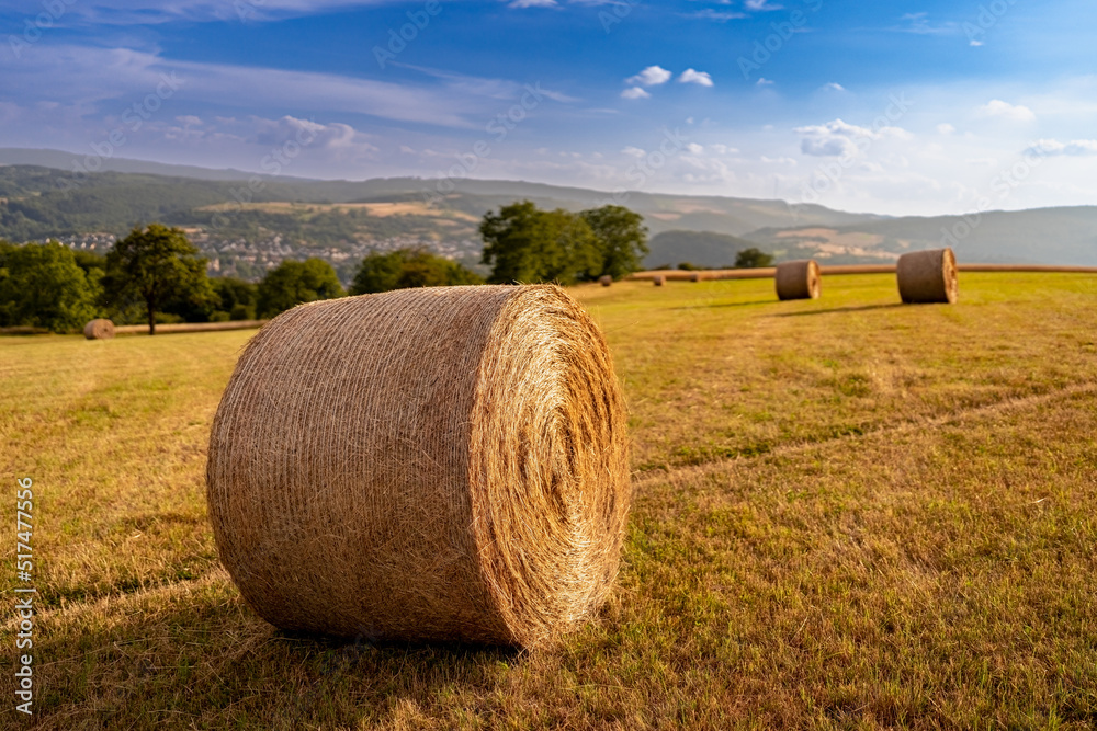 Heuballen mit Landschaft im Hintergrund Heuballen mit Landschaft im Hintergrund
