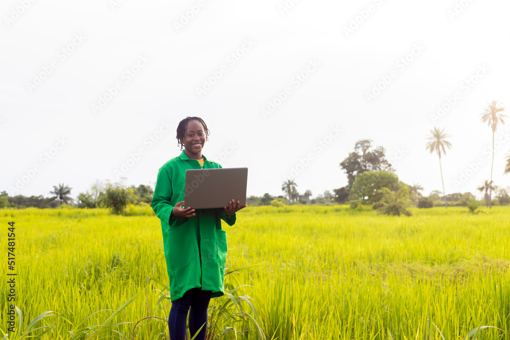 View of an attractive farmer in a green felid using laptop View of an attractive farmer in a green felid using laptop