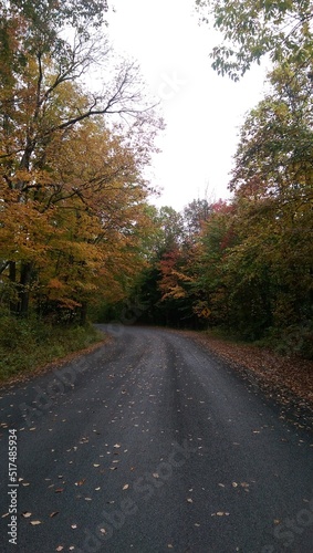 road in autumn