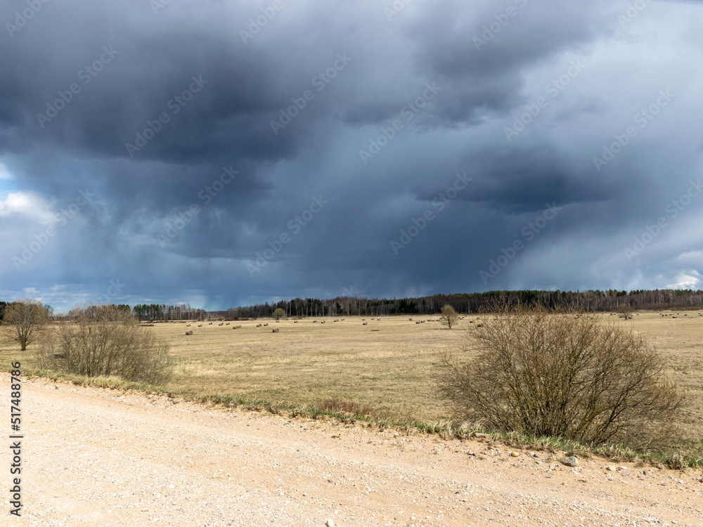 Fototapeta premium simple rural landscape with a rural road, beautiful cumulus clouds