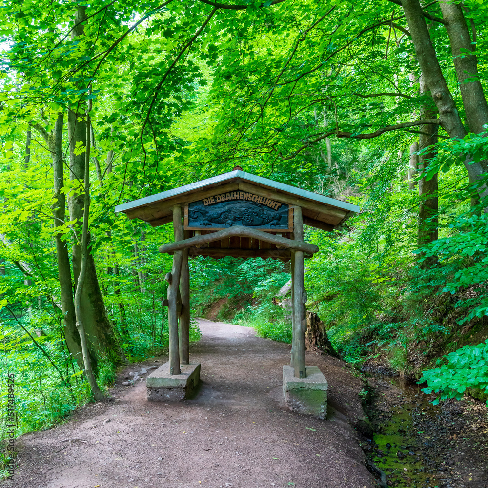 The Dragon Gorge in the Thuringian Forest The Dragon Gorge in the Thuringian Forest