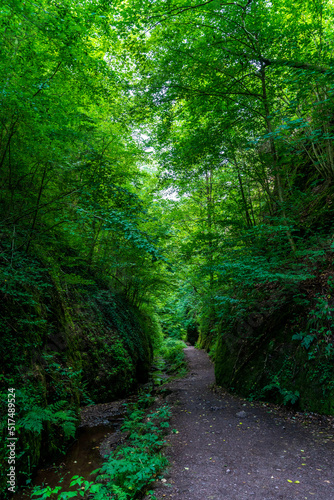 The Dragon Gorge in the Thuringian Forest