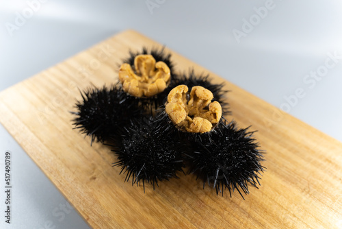 うに　Sea urchin