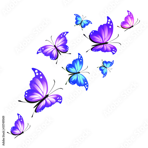 butterflies on a white backgrond