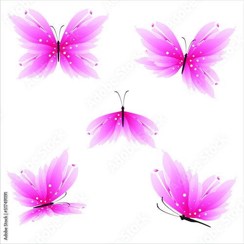 butterflies on a white backgrond