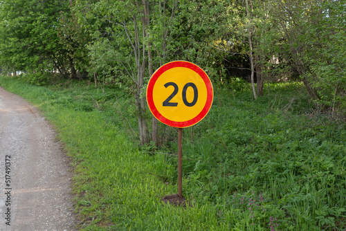 A speed limitation road sign on a wayside against trees by summer day