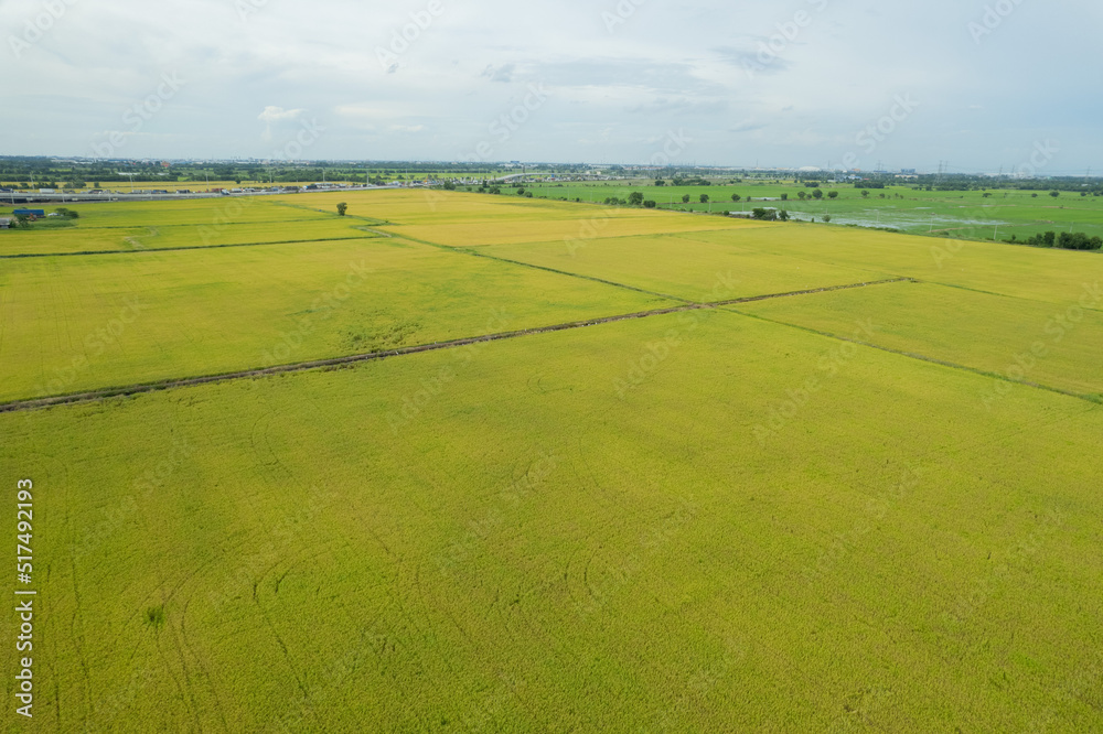 field background, top view landscape, nature field background, top view landscape, nature