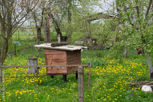 bee hives in the garden