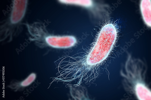 Fotografiet Bacteria colony under microscope, illustration