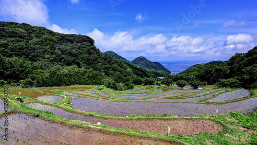 石部の棚田