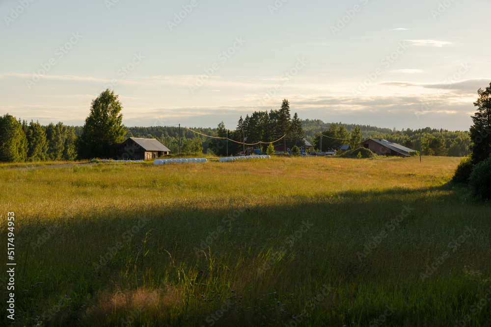Hay fields during the summer sunset in Finland Hay fields during the summer sunset in Finland