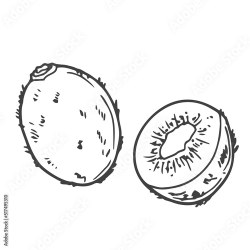 Hand drawn kiwi isolated on white background in doodle style