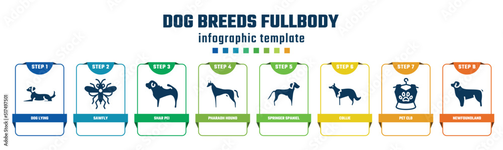dog breeds fullbody concept infographic design template. included dog lying, sawfly, shar pei, pharaoh hound, springer spaniel, collie, pet clo, newfoundland icons and 8 options or steps.