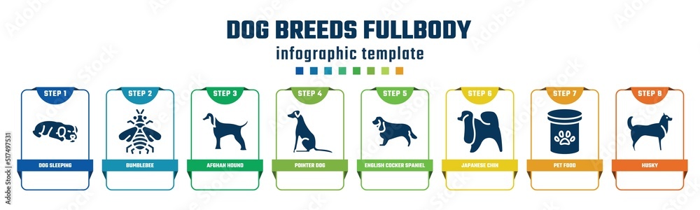 dog breeds fullbody concept infographic design template. included dog sleeping, bumblebee, afghan hound, pointer dog, english cocker spaniel, japanese chin, pet food, husky icons and 8 options or