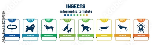 insects concept infographic design template. included pet collar, bichon frise, english mastiff, dog and doggie, scold the dog, dachshund, rottweiler, pyrrhocoridae icons and 8 options or steps.
