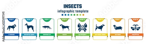 insects concept infographic design template. included st bernard, bedlington terrier, snowshoe cat, mastiff, leaf butterfly, jack russel terrier, bas hound, strepsiptera icons and 8 options or