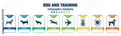 dog and training concept infographic design template. included beagle, chihuahua, german sheperd, dog scaping, angelfish, golden ground beetle, spider black widow, poodle icons and 8 options or