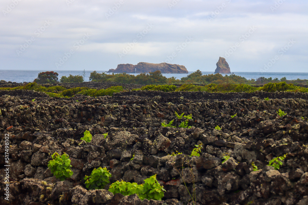 Scenes of Azores, Portugal