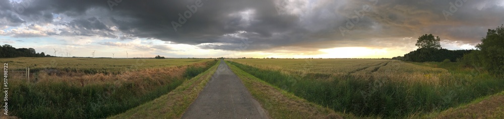 Panoramic view of a road
